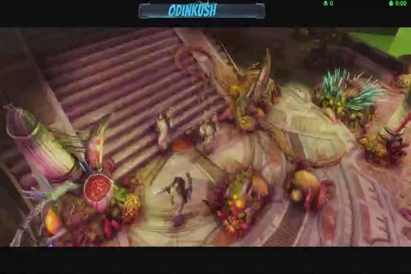 NEW DLC LIVE! ASSASSINS PROWL THE BATTLEFIELD! Witness our latest recruits snipe, claw, and blast the foul spawn of chaos, FOR THE EMPEROR!