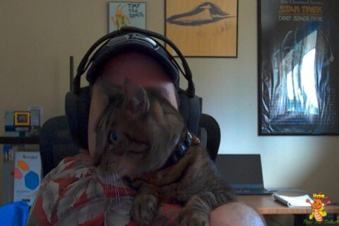 The celebration continues! Games and Team ups. Timy enjoys more chaos.