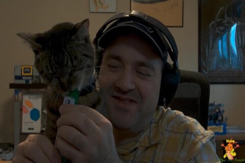 Saturday Bonk Day. Plus maybe some building on a violent world.