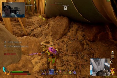 Nothing says the holiday season like unresolved spider violence