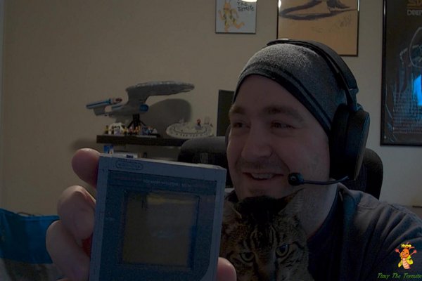 Holiday Cheer but the Forest Is Making That Crackling Noise Again