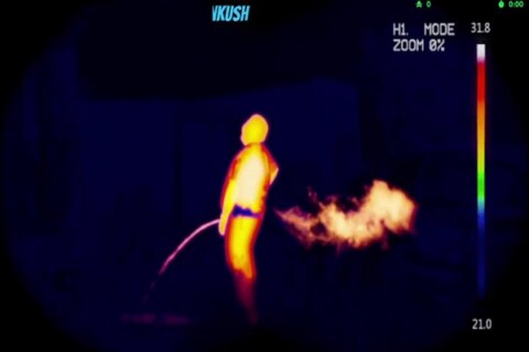 [DROPS ON✅]  No shirt, no shoes, no service. No cap. No tp, no prob. No Diddy. No Doubt! No Clout! Sloppy plops! Use a sock! Get your rocks!