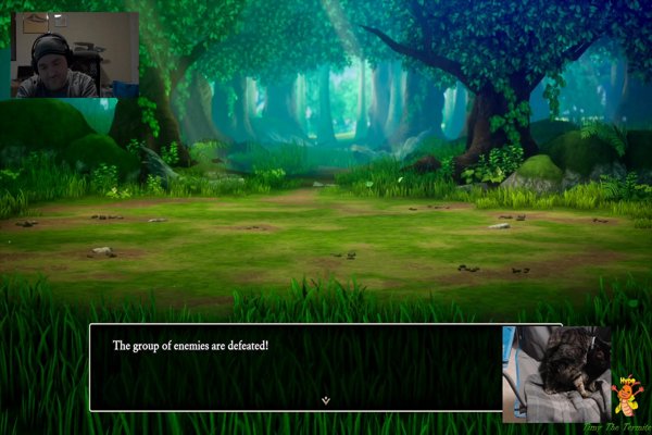 Dragons, Dumb Quests & Saving the Princess (Probably)